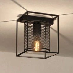 EGLO Catterick Ceiling Light, Black, Cage Lampshade