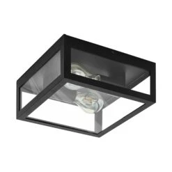 EGLO Amezola Bathroom Ceiling Light, 2-bulb, Black -EGLO Store 3032756 2